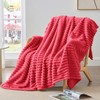 BEDELITE Fleece Throw Blanket for Couch, Soft and Warm, Fluffy
