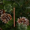 Scentsicles Spiced Pine Cones Scented Christmas Tree Ornaments - 1