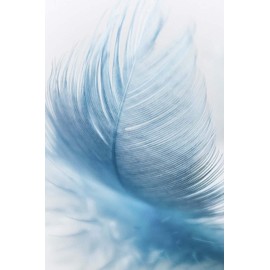 Journal: 6x9 Journals to Write in for Women & Girls. Perfect for Notes, Lists, Ideas, Poems, Diary; 150 Page White Paper