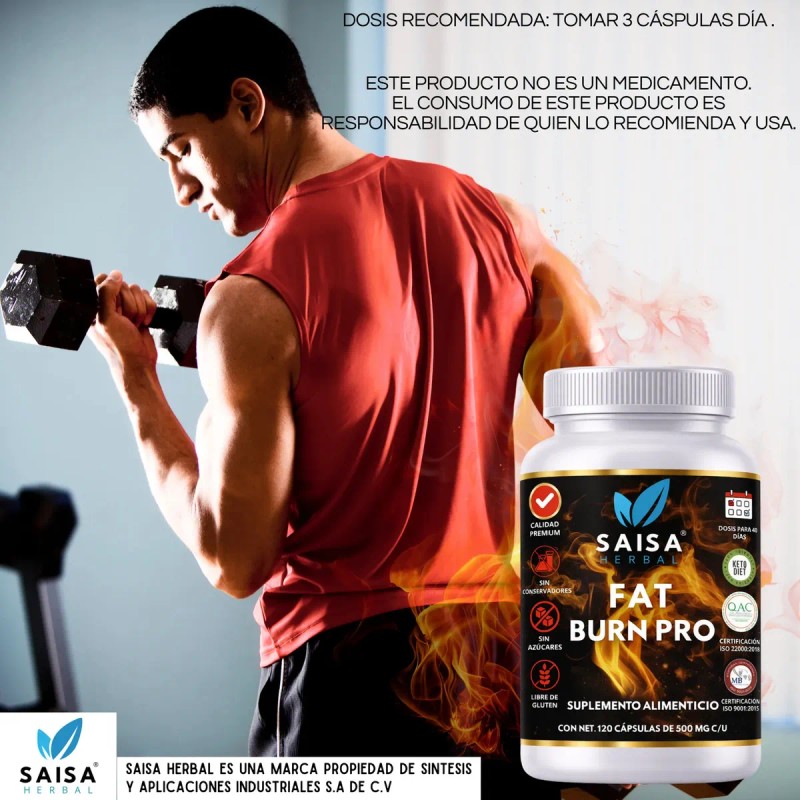 Carnitina Suplemento Quemador Grasa Natural Alta Pureza Suplmento Adelgazar Rapido