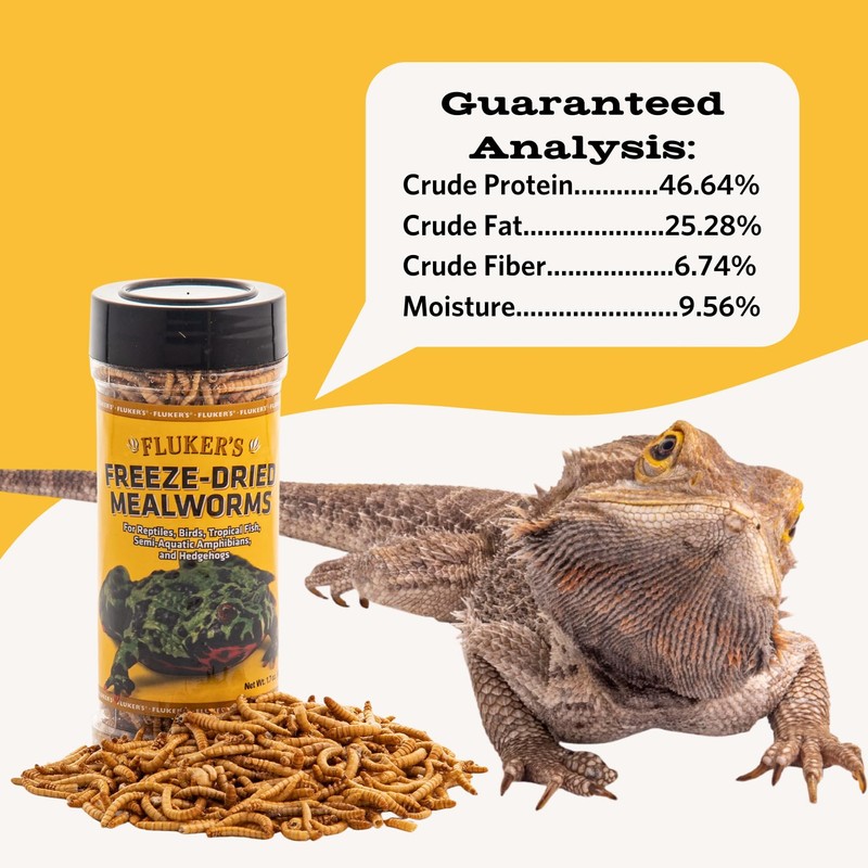 Fluker's Freeze Dried Insects, Nutrient, Packed Mealworms, Ideal for Lizards,