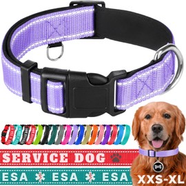 TECEUM Reflective Pet Collar – Lavender – XXS – Extra Soft Padding – Basic Nylon Dog Collar – Quick Release Buckle – Fits Small, Medium and Large Dogs, Puppies, Cats – ESA & Service Dog Options
