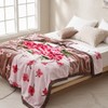 Regular Blanket X2 Double Acrylic Thick Mink Microfiber Blanket 11