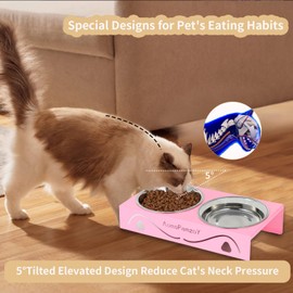 2 Pack Cat Food Bowls - Indoor Set with Metal Stand,5° Tilted Anti Vomiting Wide Raised Pet Dish, Cute Elevated Cat Feeding Station for Food Water, 4 Stainless Steel Bowls for Kitten, Puppy,Pink