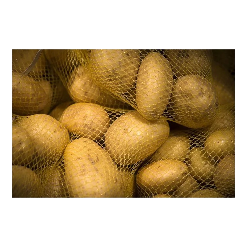 Unbranded Fresh Russet P