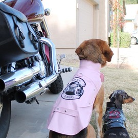 Biker Dawg Motorcycle Dog Jacket (Large, Pink)
