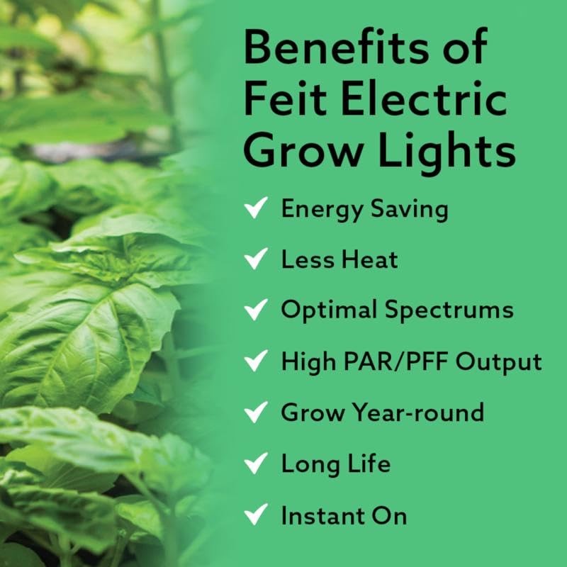 Feit Electric 3009477 A21 E26 Medium Clear 16 watt Equivalence