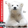 Animal Car Window Decals Funny 3D Weatherproof Decals (Polar Bear)