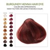 1 Pack Of Burgundy Henna Hair & Beard Color/Dye 100