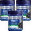 Wagner Bilberry Lutein Eye Health 120 Capsules, 3, 60 Servings / 와그너 빌베리 루테인 눈건강 120 캡슐, 3개, 60회분