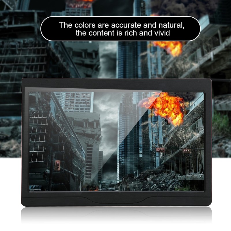 10.1in IPS Monitor Screen Industrial Portable 178° Wide Viewing Angle