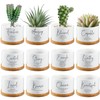 Fumete 12 Pcs Bible Verse Succulent Pots with Tray Drainage,