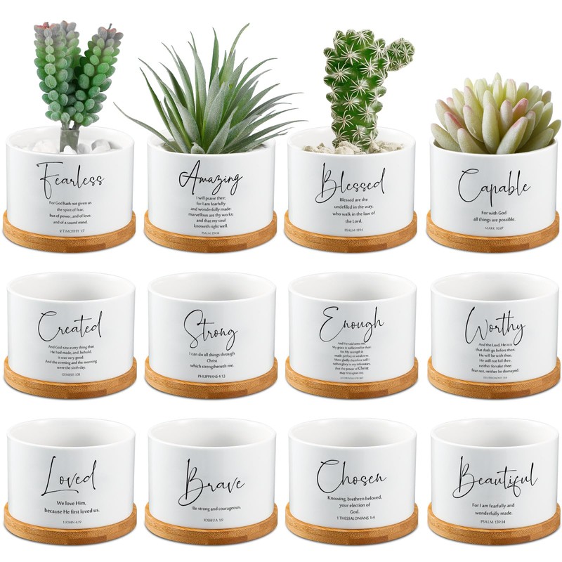 Fumete 12 Pcs Bible Verse Succulent Pots with Tray Drainage,