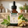 Pulmoria Clear Stuck Mucus, with Wild Mullein Extract, Cordyceps, Bromelain,