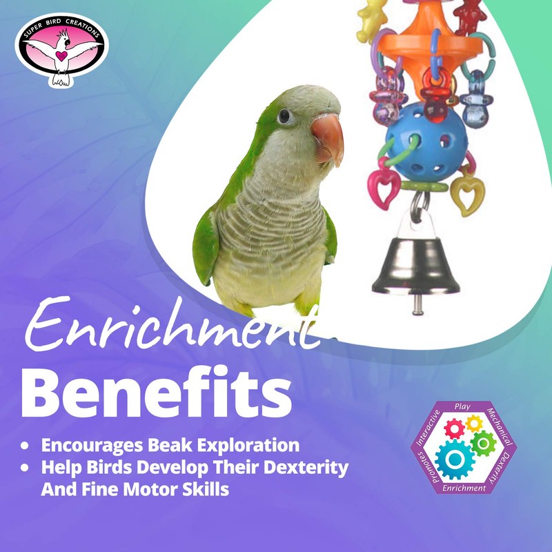 Super Bird Creations SB1083 Binky Bop Bird Toy - Engaging