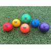 TAP Extreme Duty Weighted Ball Set
