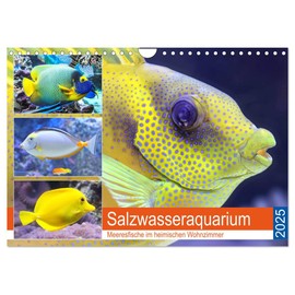 Salt Water Aquarium, Sea Fish in the Home Living Room (Wall Calendar 2025 DIN A4 Landscape), CALVENDO Monthly Calendar