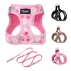 PUPTECK Dog Harness and Leash Set for Small Medium Dogs