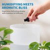 CLARSTON Humidifier for Bedroom, 2.5L Cool Mist Humidifier with Essential