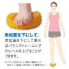 秦運動具工業 バランスポッド DBP200