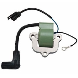 MARKGOO 0502881 Conjunto de bobina de encendido para OMC Johnson Evinrude fueraborda 18 20 25 35 40 HP Piezas de motor de barco de repuesto Sierra 18-5172 0581786 0581124 0581370