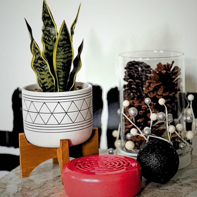 Citrus Magic Holiday Odor Absorbing Solid Air Freshener, Holly Jolly