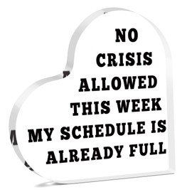 Social Worker Office Decor Funny Acrylic Plaque for Colleague Friends Boss Office Desk Decor for Employees Boss Lady Desk Accessories Christmas Birthday Present for Team Manager Friends