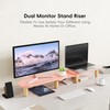 AFOOYO Dual Monitor Stand Riser,Rainbow Cloud Desktop Computer Stand for