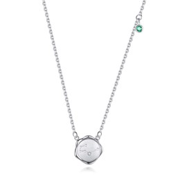 VIKI LYNN 18K White Gold Plated Taurus Disc Necklace Constellation Zodiac Sign Birthstone Necklace Gift for Women