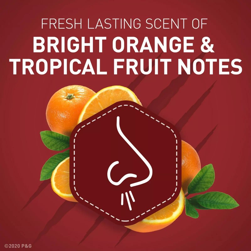 Old Spice Wolfthorn Deodorant Stick 50 ml 2 Pack