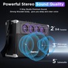 Heartsea 100W Bluetooth PA Speaker System with 2 Wireless Microphones,