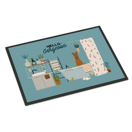 Caroline's Treasures CK7484MAT Irish Terrier in Bathtub Doormat 18x27 Front Door Mat Indoor Outdoor Rugs for Entryway, Non Slip Washable Low Pile, 18H X 27W