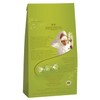 Lindt Lindor Limited Edition Pistachio Milk Chocolate Truffles – Bulk
