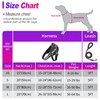 Service Dog Vest, DEWVIE Dog Harness and Leash Set with