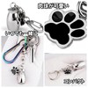 Lunali Pet Urn Mini Urn Memorial Key Chain Capsule Portable