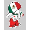 carod MEXICAN FLAG BOY, STICKER DECAL,BANDERA DE MEXICO, CHICO MEXICANO
