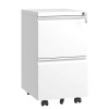 2 Drawer Metal Mobile File Cabinet Fully Assembled Rolling File