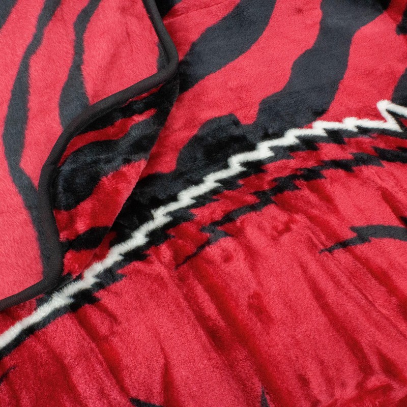 College Covers Arkansas Razorbacks Raschel Throw Blanket, 60 in by