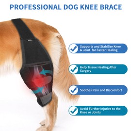 Liangmall Dog Knee Brace for Torn ACL Hind Leg - Adjustable Rear Leg Braces for Dogs with Collar & Side Stabilizers, Strong Support to Reduce Joint Pain and Muscle Sore (Size: M)
