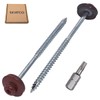 SKIR'CO (15 pcs) Painted 5.0 x 100 mm Wood Screws