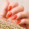 JERMY ONE Summer 2025 Limited Color 155 Eclat Gel me