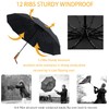 erised's bifrost Compact Travel Folding Portable Umbrella 46 Inch Windproof/Wind
