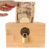 Leiasnow Money Box with Lock, Money Box, Donation Box, Can