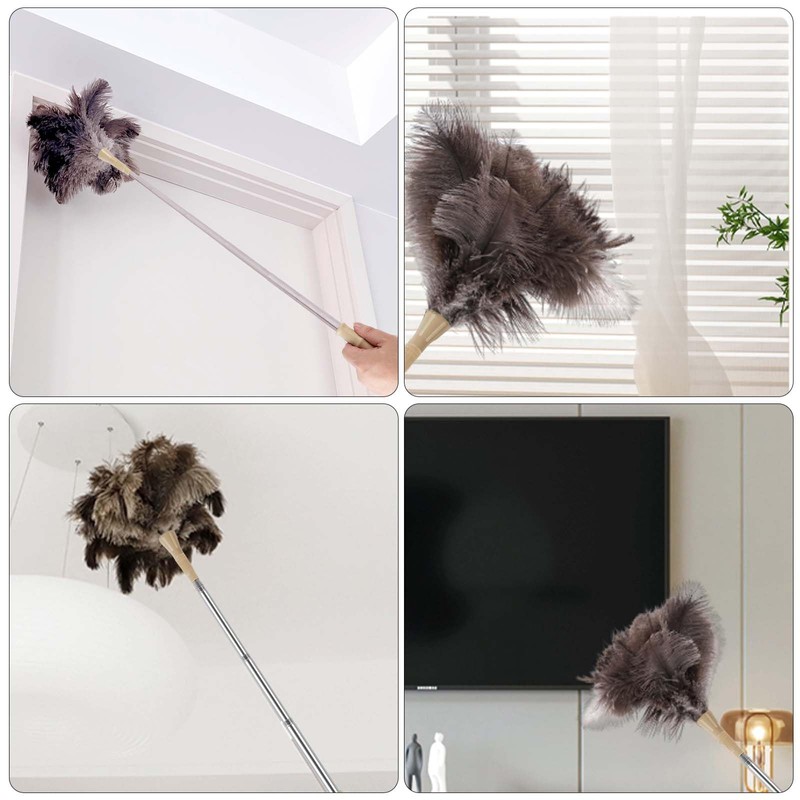 Feather Duster Extendable Handle，53In Telescopic Duster with 1 Ostrich Feather