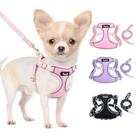 Eyein Small Dog Harness and Lead Set - Soft Mesh Breathable Dog Harness for Extra Small Dogs Kitten, No Pull Escape Proof No Chock Step-in Puppy Vest Lightweight(Pink,XS)