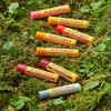 버츠비 [Burt's Bees] Moisturizing Lip Balm 4.25g Choose 1 out