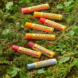 버츠비 [Burt's Bees] Moisturizing Lip Balm 4.25g Choose 1 out of 8 types Honey / [버츠비] 모이스춰라이징 립 밤 4.25g 8종 중 택1 허니