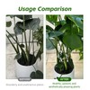Large Size Monstera Plant Support, Monstera Grapple,Support Ring Stakes, Keeps