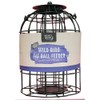 Natures Market BF008FB Squirrel Guard Hanging Fat Ball Feeder
