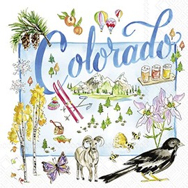 IHR Ideal Home Range Cocktail Napkins Rosanne Beck State Collection Disposable 3-Ply Paper Party Napkin Pack, 5" x 5", Colorado, 20-Count